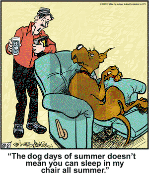 Marmaduke on Monday August 2, 2021 Comic Strip