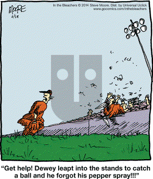 In the Bleachers on Saturday June 28, 2014 Comic Strip