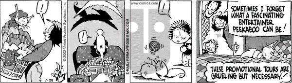 Rose is Rose on Friday January 25, 2002 Comic Strip