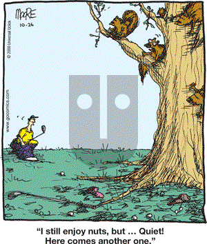 In the Bleachers - Monday October 26, 2009 Comic Strip