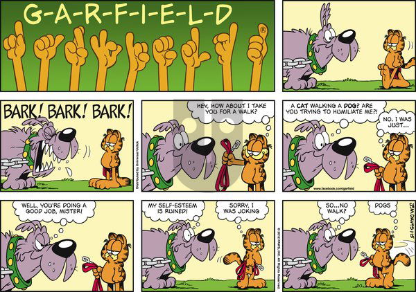 Garfield on Sunday January 15, 2012 Comic Strip