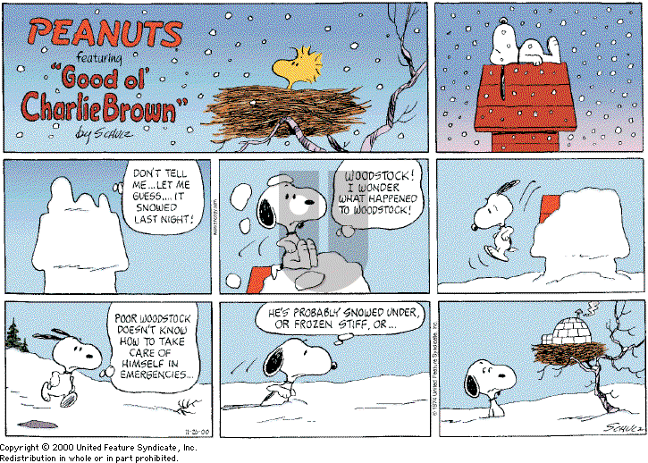 Peanuts - Sunday November 26, 2000 Comic Strip
