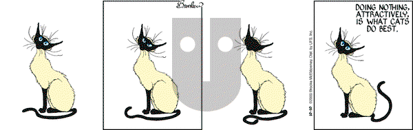 9 Chickweed Lane on Saturday October 10, 2009 Comic Strip