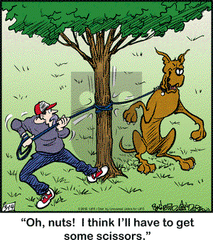 Marmaduke on Monday March 14, 2016 Comic Strip