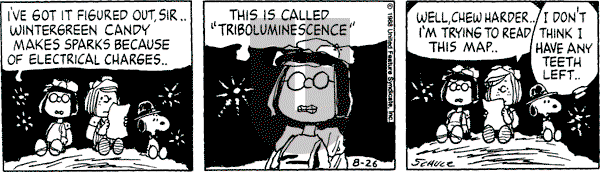 Peanuts - Friday August 26, 1988 Comic Strip