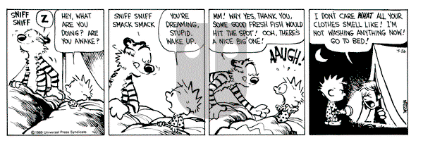 Calvin and Hobbes on Wednesday July 26, 1989 Comic Strip