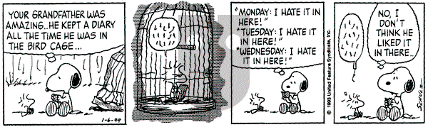 Peanuts on Thursday January 6, 1994 Comic Strip