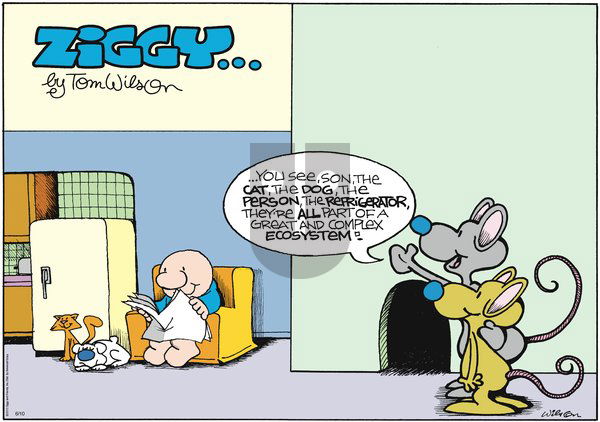 Ziggy on Sunday June 10, 2012 Comic Strip