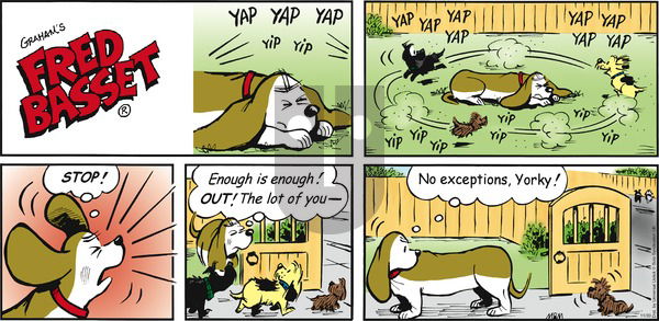 Fred Basset - Sunday November 30, 2014 Comic Strip