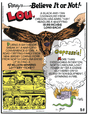 Ripley's Believe It or Not - Wednesday November 3, 2021 Comic Strip