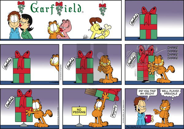 Garfield on Sunday December 15, 2013 Comic Strip