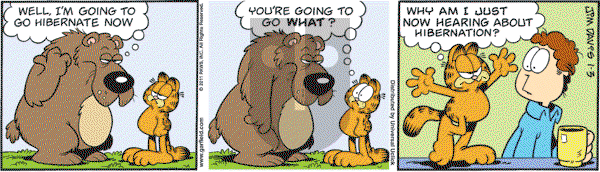 Garfield - Monday January 3, 2011 Comic Strip