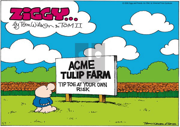 Ziggy on Sunday May 7, 2006 Comic Strip