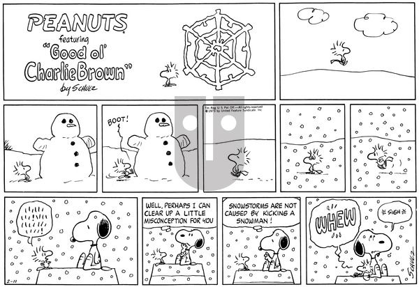 Peanuts on Sunday February 11, 1973 Comic Strip