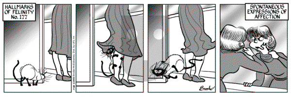 9 Chickweed Lane on Wednesday November 26, 2003 Comic Strip