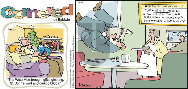 Cornered on Sunday December 22, 2002 Comic Strip