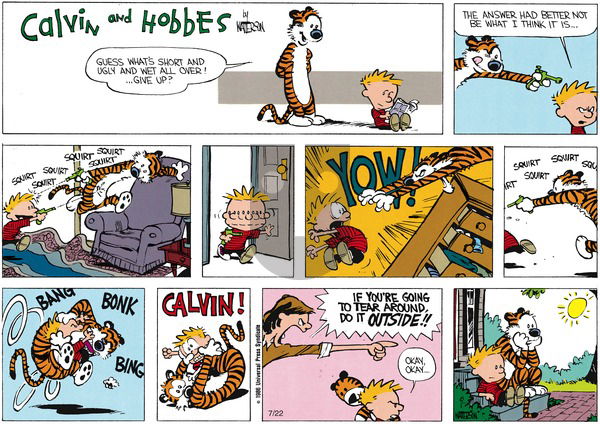 Calvin and Hobbes on Sunday July 13, 1986 Comic Strip