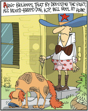 The Flying McCoys on Thursday May 30, 2019 Comic Strip