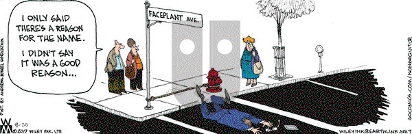 Non Sequitur on Monday September 25, 2017 Comic Strip