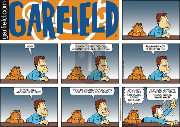 Garfield on Sunday November 15, 2015 Comic Strip