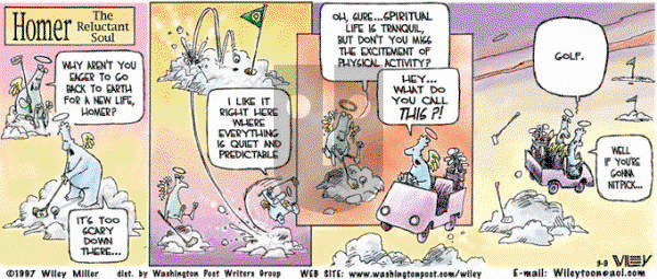 Non Sequitur on Sunday March 9, 1997 Comic Strip