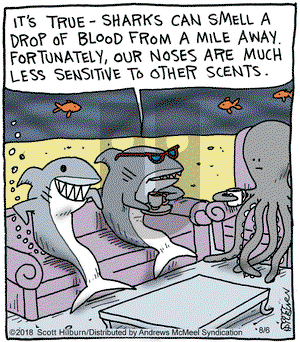 The Argyle Sweater on Monday August 6, 2018 Comic Strip