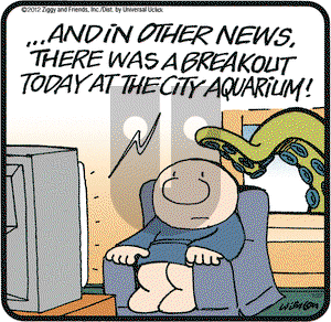Ziggy on Friday January 27, 2012 Comic Strip
