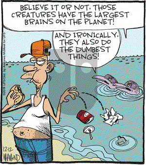 Reality Check on Thursday December 12, 2019 Comic Strip
