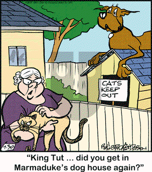 Marmaduke - Thursday July 30, 2015 Comic Strip
