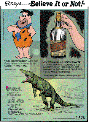 Ripley's Believe It or Not on Saturday December 26, 2020 Comic Strip