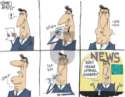 Glenn McCoy on Wednesday August 20, 2014 Comic Strip