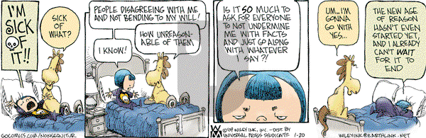 Non Sequitur on Tuesday January 20, 2009 Comic Strip