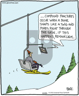 In the Bleachers on Thursday December 20, 2007 Comic Strip