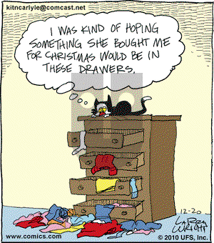 Kit 'N' Carlyle on Monday December 20, 2010 Comic Strip