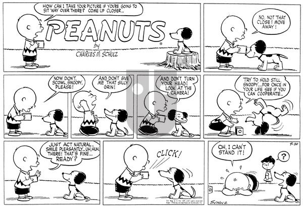 Peanuts on Sunday September 20, 1953 Comic Strip