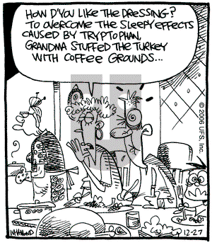 Reality Check on Wednesday December 27, 2006 Comic Strip