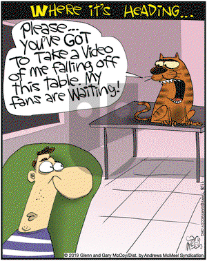 The Flying McCoys on Friday November 8, 2019 Comic Strip