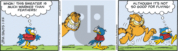 Garfield - Saturday January 22, 2011 Comic Strip