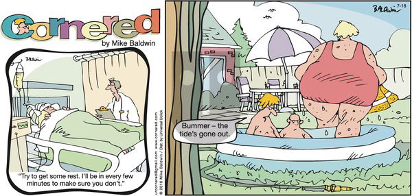 Cornered on Sunday July 18, 2010 Comic Strip
