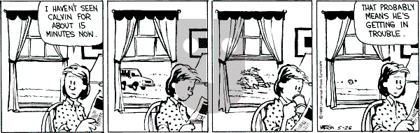 Calvin and Hobbes - Thursday May 25, 1989 Comic Strip