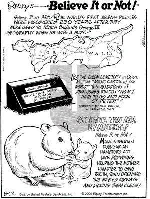 Ripley's Believe It or Not on Saturday August 12, 2000 Comic Strip
