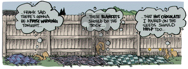 Bob the Squirrel - Saturday June 3, 2023 Comic Strip