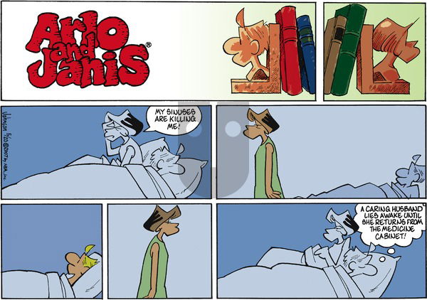 Arlo and Janis on Sunday May 20, 2007 Comic Strip