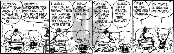 Monty on Friday December 14, 2001 Comic Strip