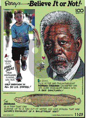 Ripley's Believe It or Not on Saturday November 23, 2019 Comic Strip