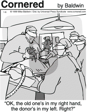 Cornered on Wednesday January 6, 1999 Comic Strip