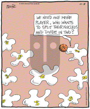 In the Bleachers - Wednesday October 18, 2006 Comic Strip