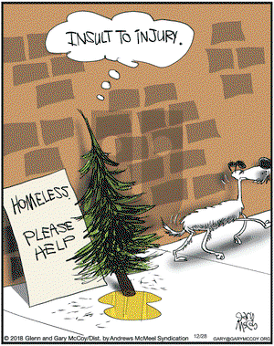 The Flying McCoys - Saturday December 28, 2024 Comic Strip