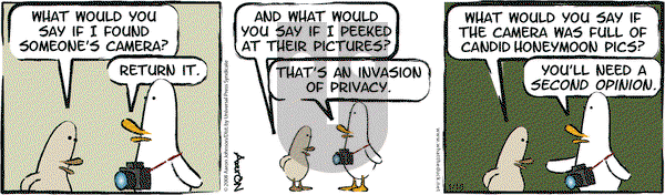 W.T. Duck on Friday January 16, 2009 Comic Strip