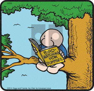 Ziggy on Thursday December 25, 2014 Comic Strip